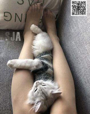黄石第六季一口气看完
