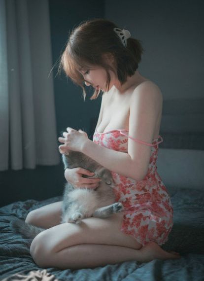 高贵一族