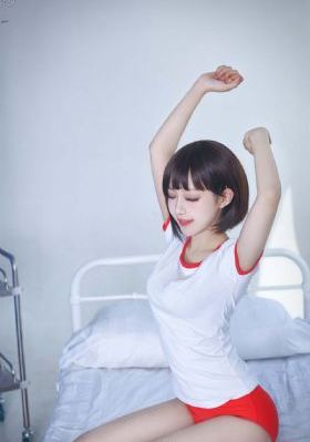 大陆理论片